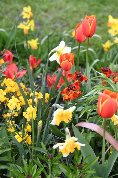 DSC_6924 (Large).JPG